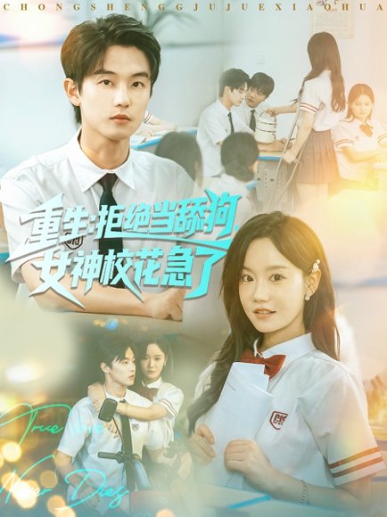 重生拒绝当舔狗女神校花急了（89集）白珩威＆张诗媛（汤圆子） 高清完整版
