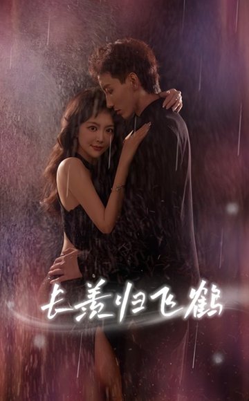 长羡归飞鹤 (70集) 霍文琦 长篇 高清完整版