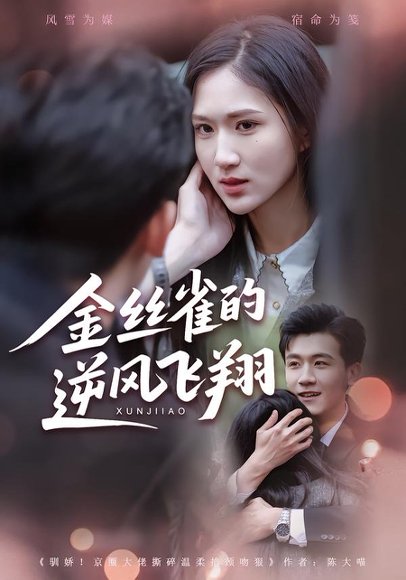 金丝雀的逆风飞翔（80集）廖帕姿&曹润辉 高清完整版